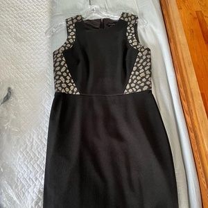 Ann Taylor dress